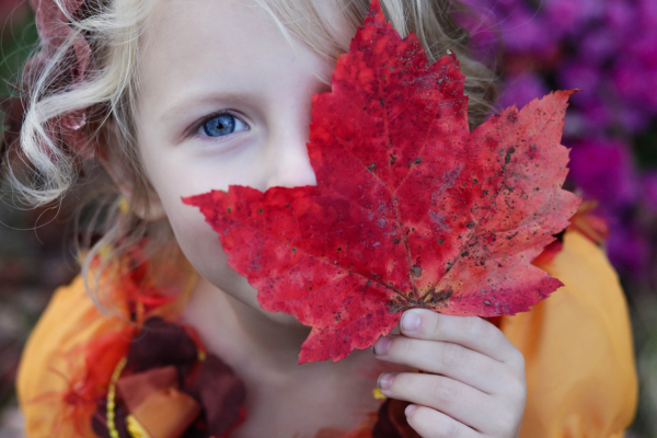 Secourisme intervenants en milieu scolaire