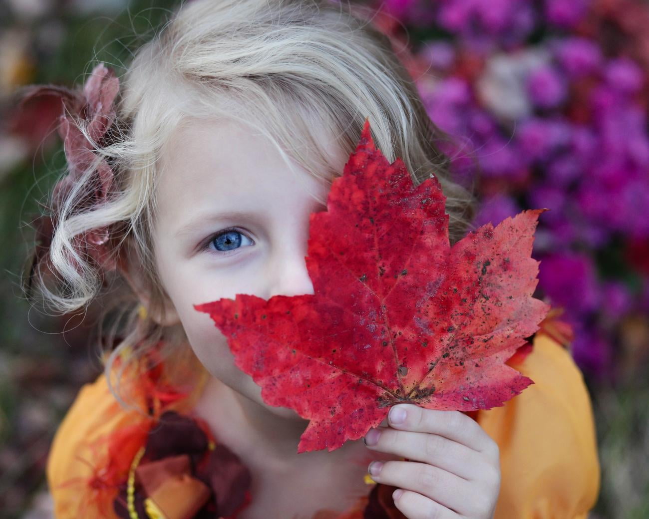 Blessures d'enfants  - FormaSecours Plus